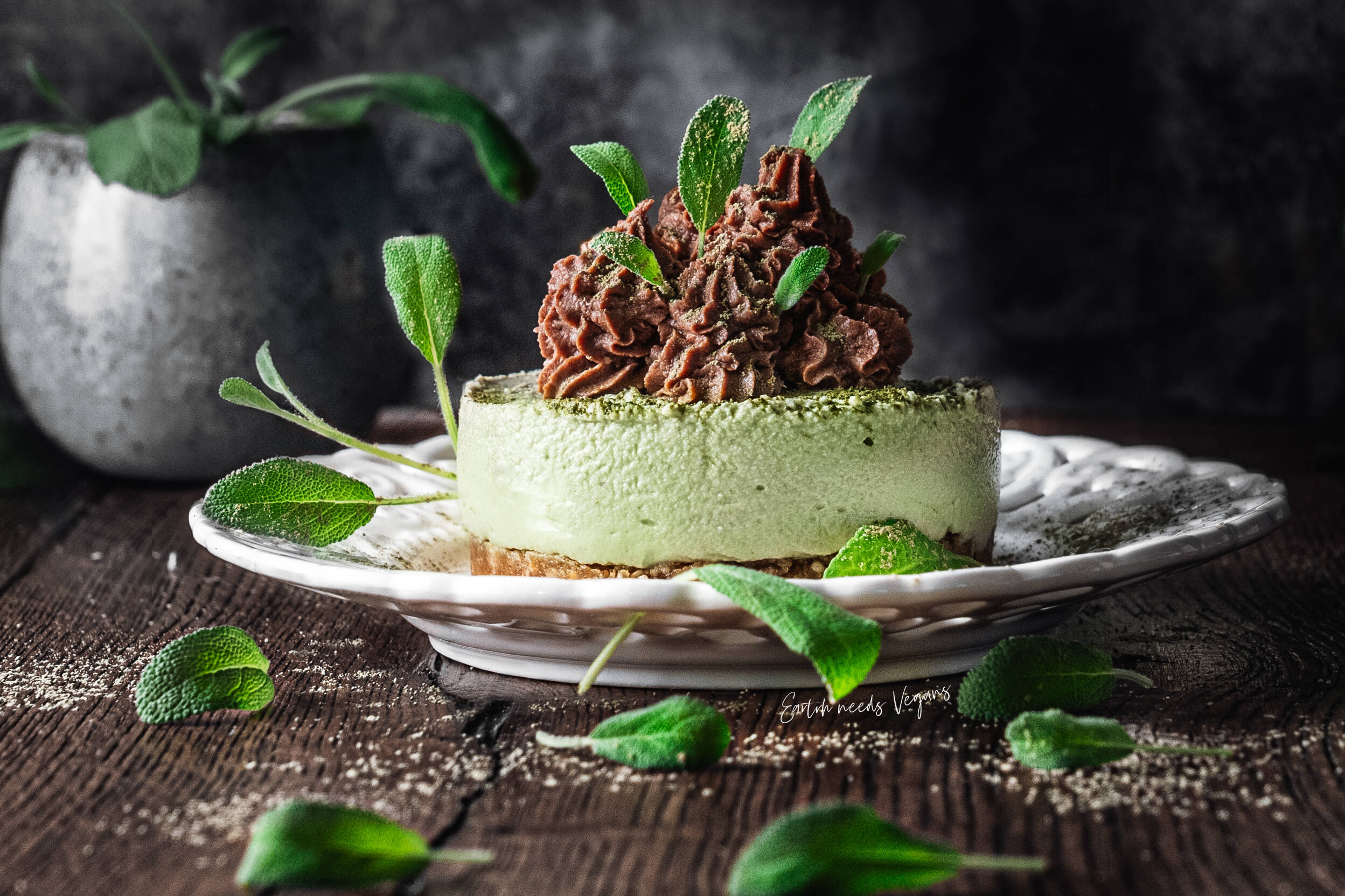 Matcha Cheesecake Earth needs Vegans