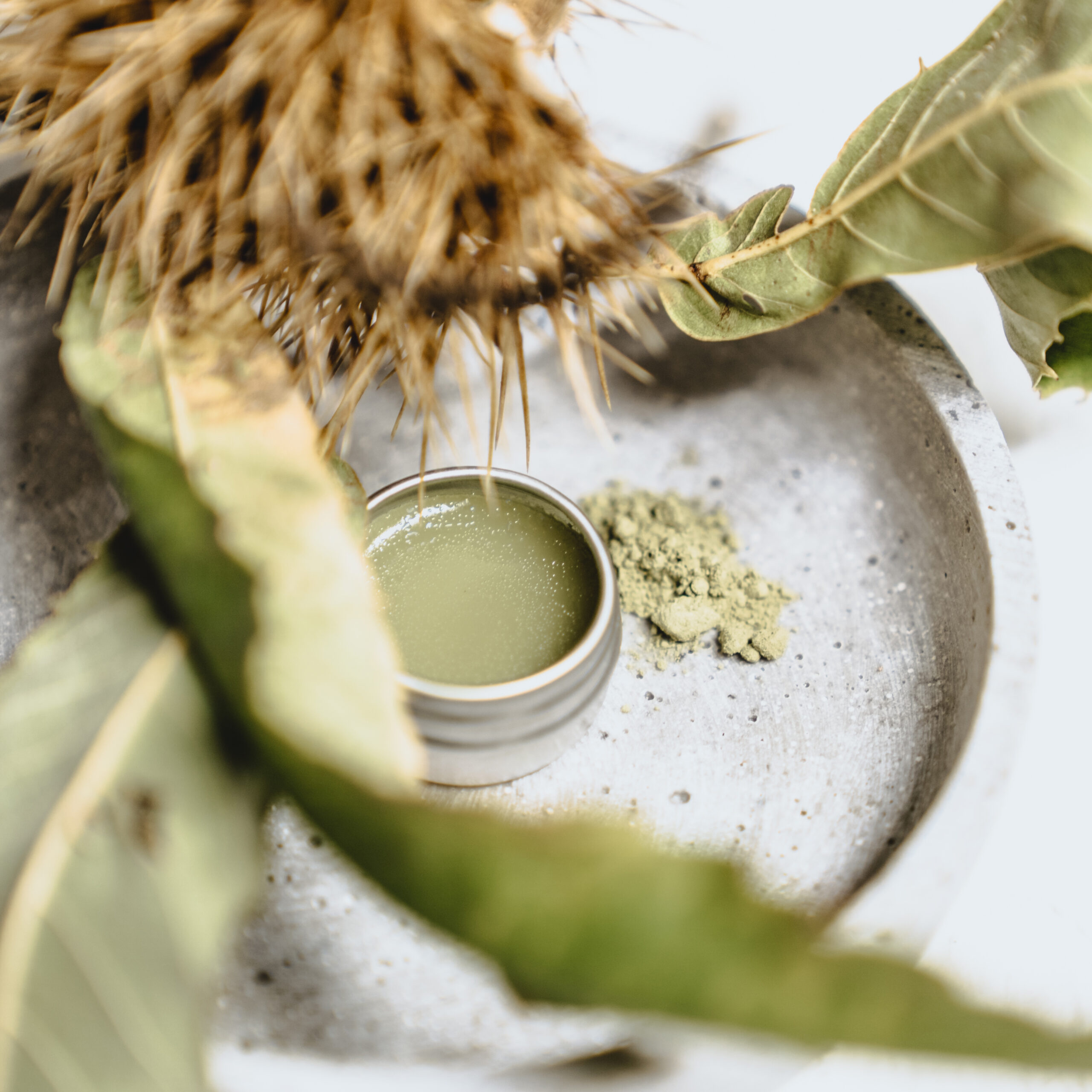 DIY Matcha Lip Balm