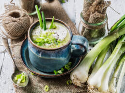 Frühlingszwiebelsuppe