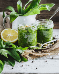 Bärlauchpesto Earth needs Vegans