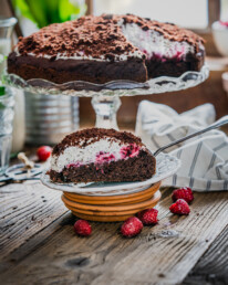 veganer Maulwurfkuchen