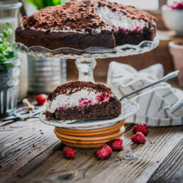 veganer Maulwurfkuchen